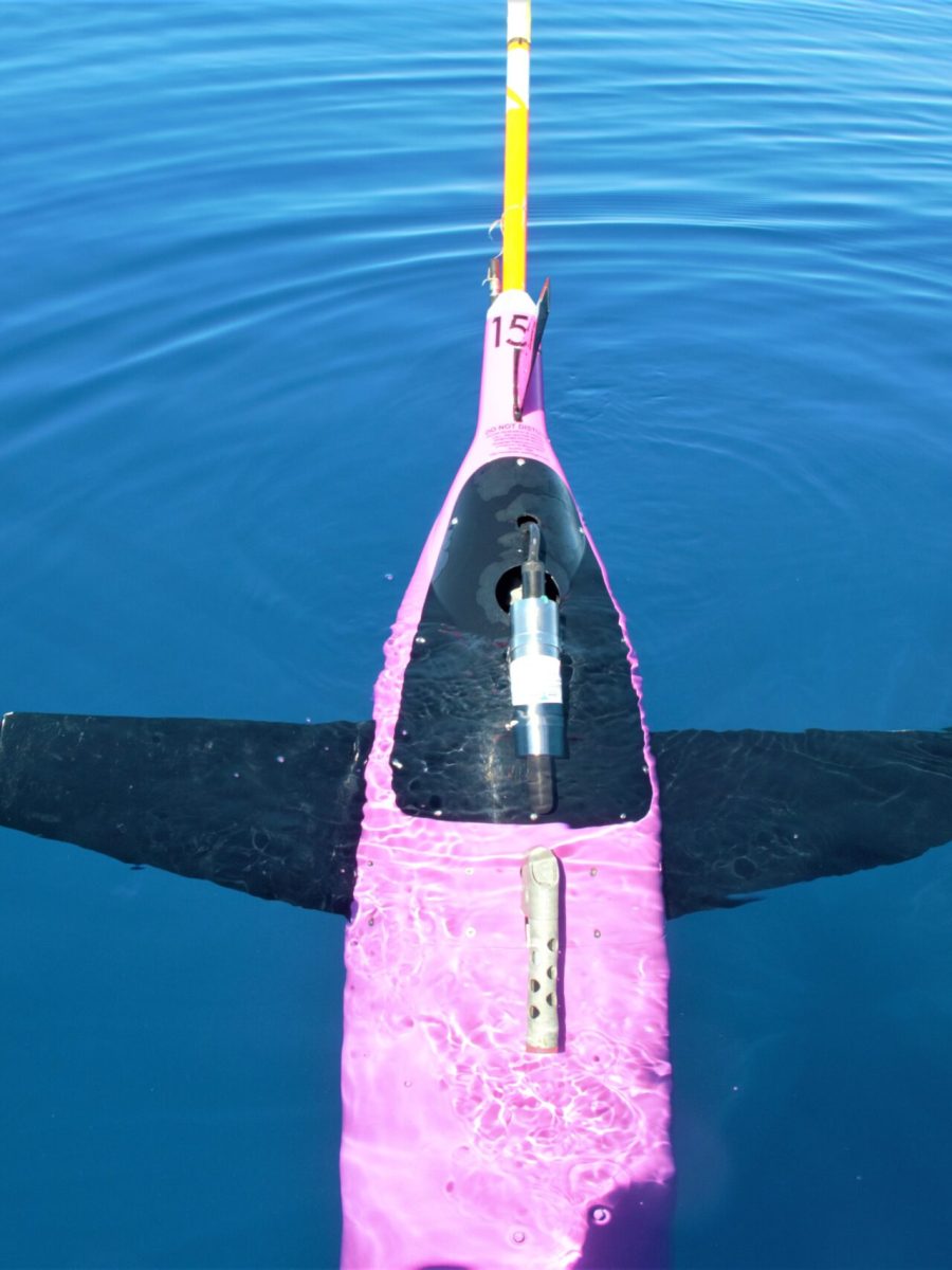 Seaglider_1