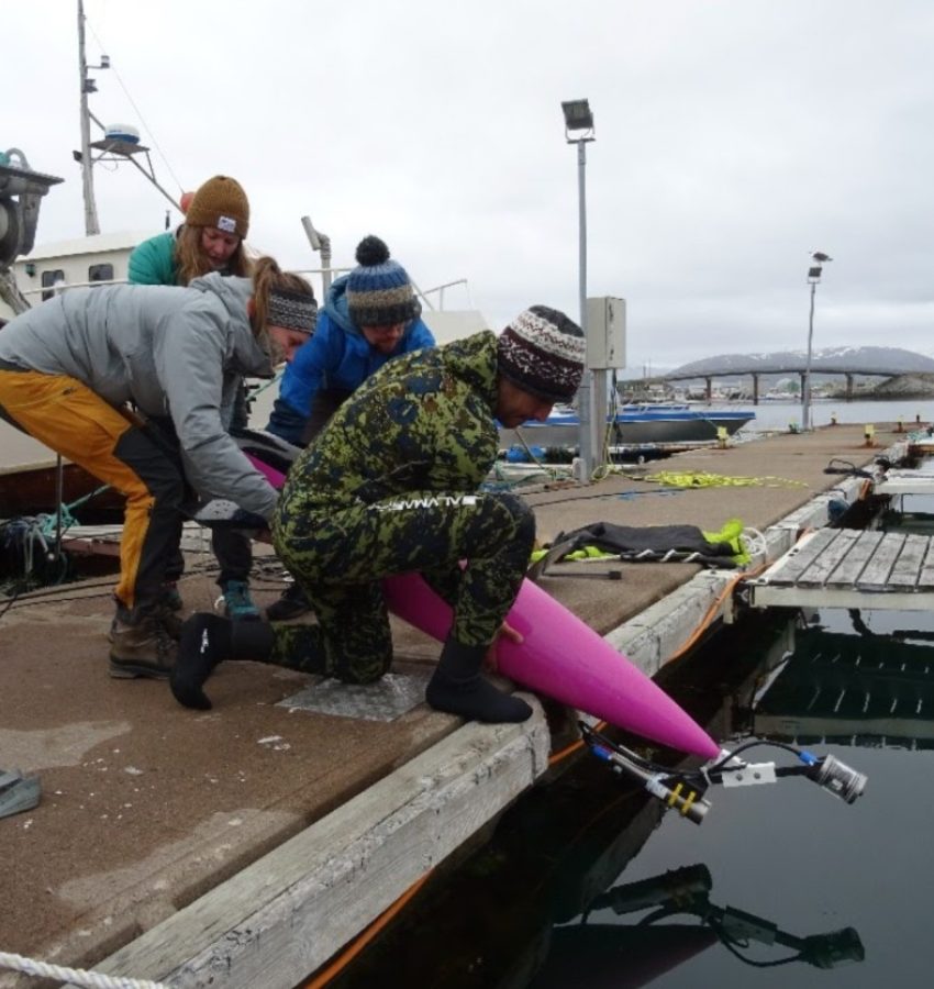 seaglider and UVP 6 field testing